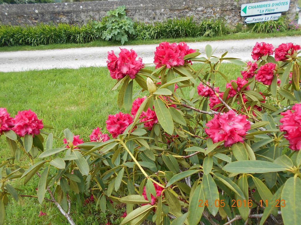 Ferme Manoir La Fiere Bed & Breakfast Sainte-Mere-Eglise Exterior photo